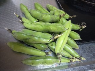 炒蚕豆。步骤1