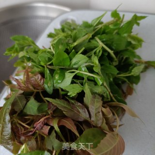 枸杞头香椿煎蛋步骤1