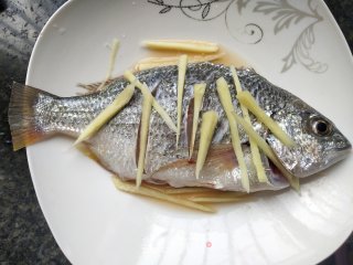 红烧海鲫鱼步骤2