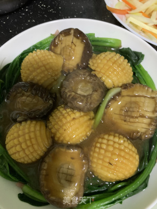 荤素双鲍步骤10