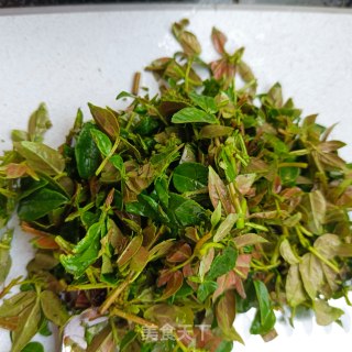 花椒芽炒蛋步骤1