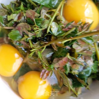 花椒芽炒蛋步骤3
