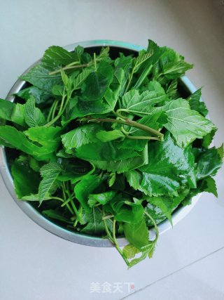 清炒桑树叶步骤1