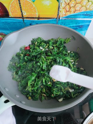 清炒桑树叶步骤7