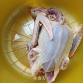 竹荪虫草花玉米炖鸽子步骤3