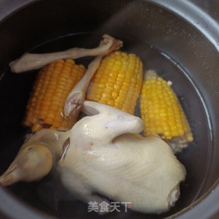 竹荪虫草花玉米炖鸽子步骤8