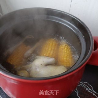 竹荪虫草花玉米炖鸽子步骤12