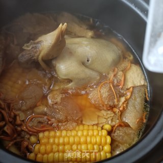 竹荪虫草花玉米炖鸽子步骤13