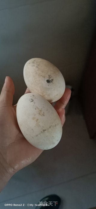 小葱炒鹅蛋步骤1