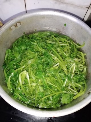 家常蒜蓉萝卜苗步骤2