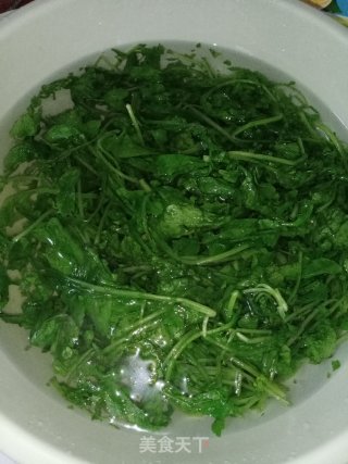 家常蒜蓉萝卜苗步骤3