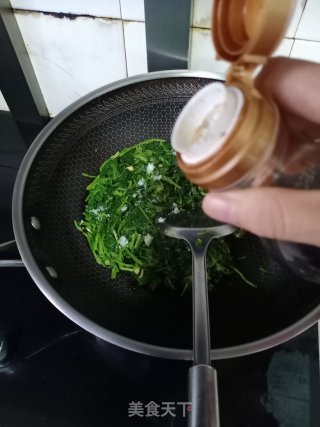 家常蒜蓉萝卜苗步骤9