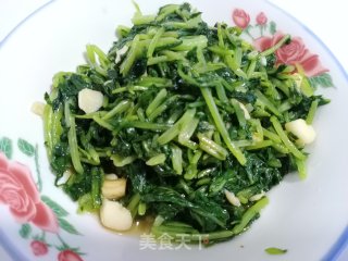 家常蒜蓉萝卜苗步骤10