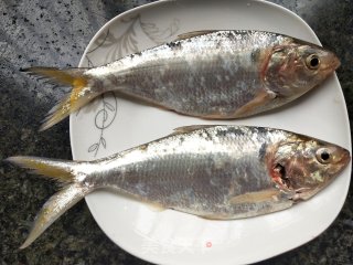 清蒸白力鱼（鳓鱼）步骤1