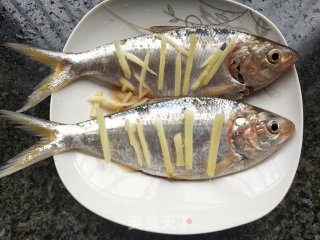清蒸白力鱼（鳓鱼）步骤3