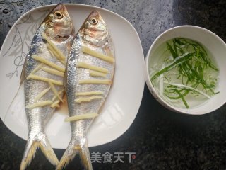 清蒸白力鱼（鳓鱼）步骤4