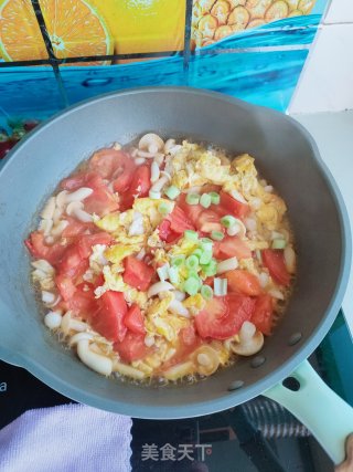 白玉菇西红柿炒鸡蛋步骤13