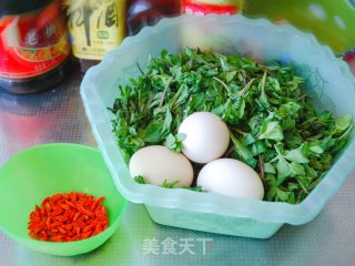 枸杞芽炒鸡蛋步骤1