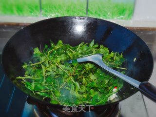 枸杞芽炒鸡蛋步骤4