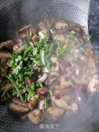 炒香菇步骤5