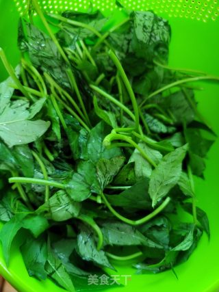 蒜末豆鼓炒番薯叶步骤1