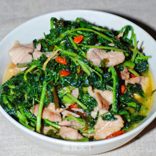 枸杞芽炒肉步骤5