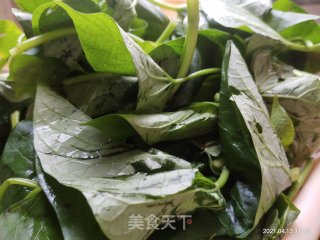 清炒地瓜苗步骤1