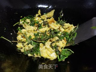 香椿芽炒鸭蛋步骤6