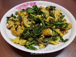 香椿芽炒鸭蛋步骤8