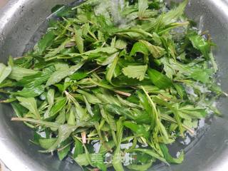 马兰头炒豆干笋  步骤2