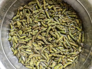 小米椒蒜苔蒸炒楮桃穗步骤1