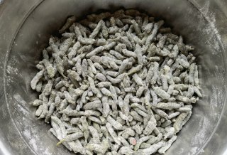 小米椒蒜苔蒸炒楮桃穗步骤6