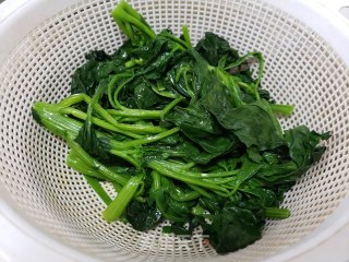 菠菜炒黄豆芽步骤3