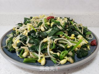 菠菜炒黄豆芽步骤6