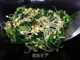 菠菜炒黄豆芽步骤5