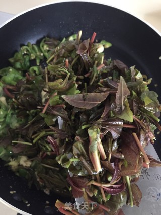 香椿芽炒螺丝椒步骤8