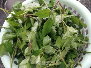 清煮鬼针草步骤1