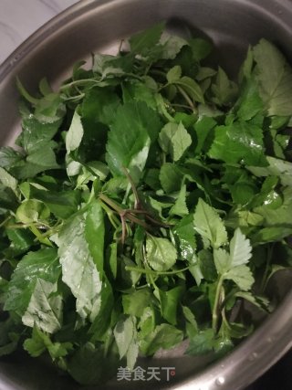 清煮鬼针草步骤3