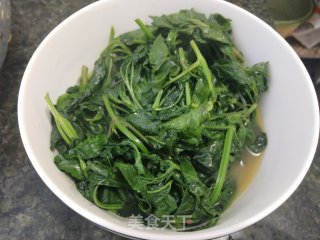 清煮鬼针草步骤5