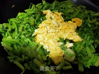 菠菜梗炒鸡蛋步骤5