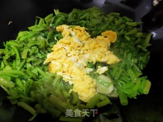 菠菜梗炒鸡蛋步骤6