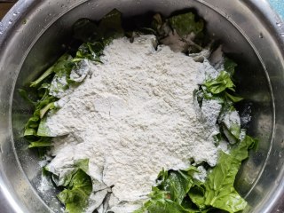 蒜蓉辣椒炒菠菜步骤4