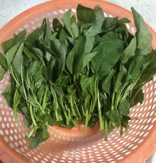 蒜末炒苋菜步骤2
