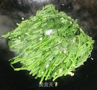蒜末炒苋菜步骤5