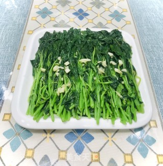 蒜末炒苋菜步骤7