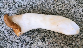 酥炸杏鲍菇步骤1