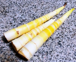清炒春笋步骤2
