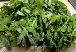 芹菜叶蒸胡萝卜步骤3 芹菜叶蒸胡萝卜步骤3