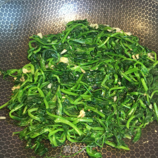 蒜蓉炒豌豆苗步骤5