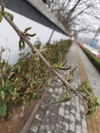 苟桃穗炒鸡蛋步骤1